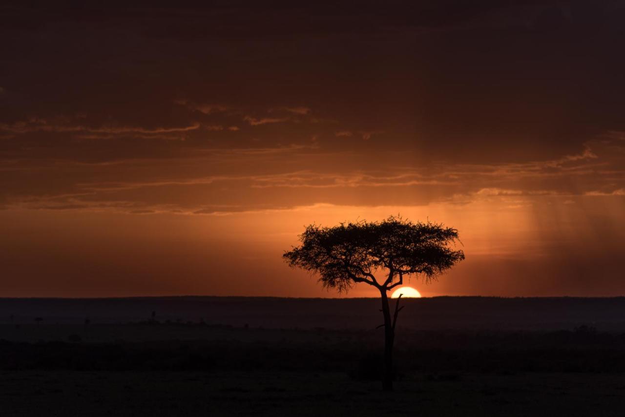 セレンゲティ Africa Safari Maasai Bomaヴィラ エクステリア 写真