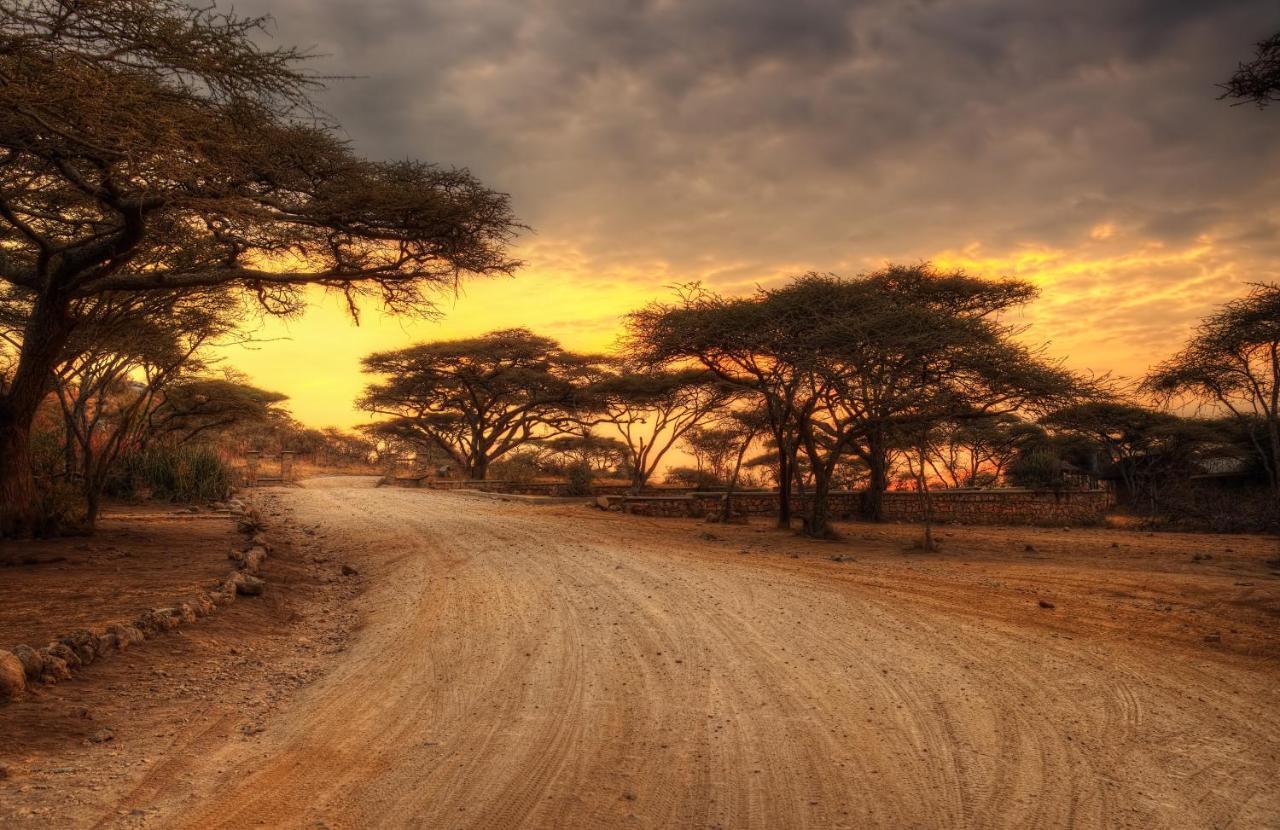 セレンゲティ Africa Safari Maasai Bomaヴィラ エクステリア 写真