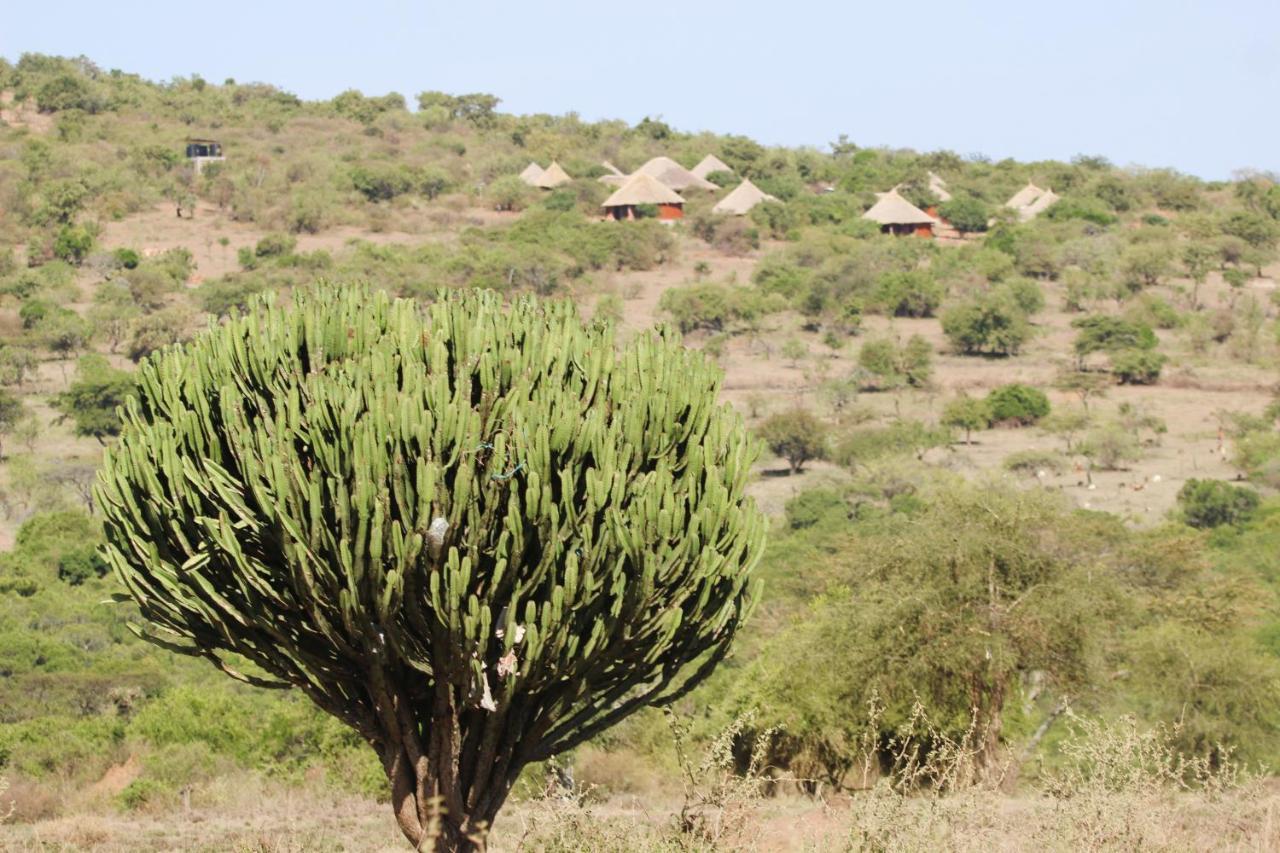 セレンゲティ Africa Safari Maasai Bomaヴィラ エクステリア 写真