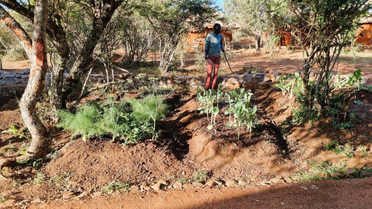 セレンゲティ Africa Safari Maasai Bomaヴィラ エクステリア 写真